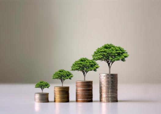 Sustainable investing